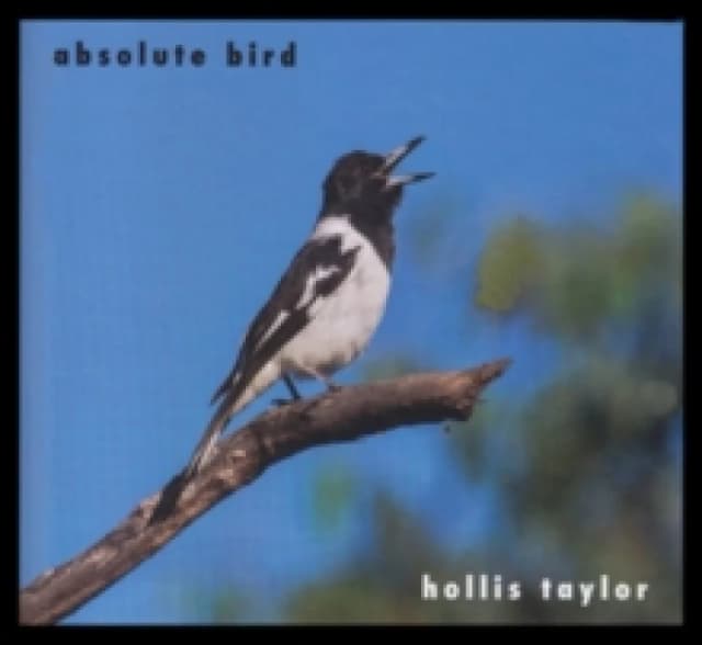 Hollis Taylor: Absolute Bird CD / Album
