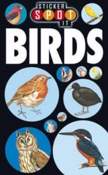 Birds by Rachel Elizabeth Conisbee Paperback