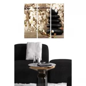 MDF7466972 Multicolor Decorative MDF Painting (3 Pieces)