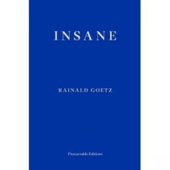Insane by Rainald Goetz