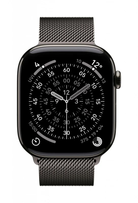 Apple Apple MGJ64ZM/A Smart Wearable Accessories Band Slate colour Stainless steel MGJ64ZM/A