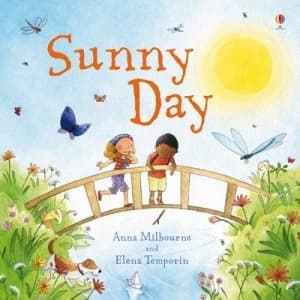 Sunny Day by Anna Milbourne and Elena Temporin Paperback