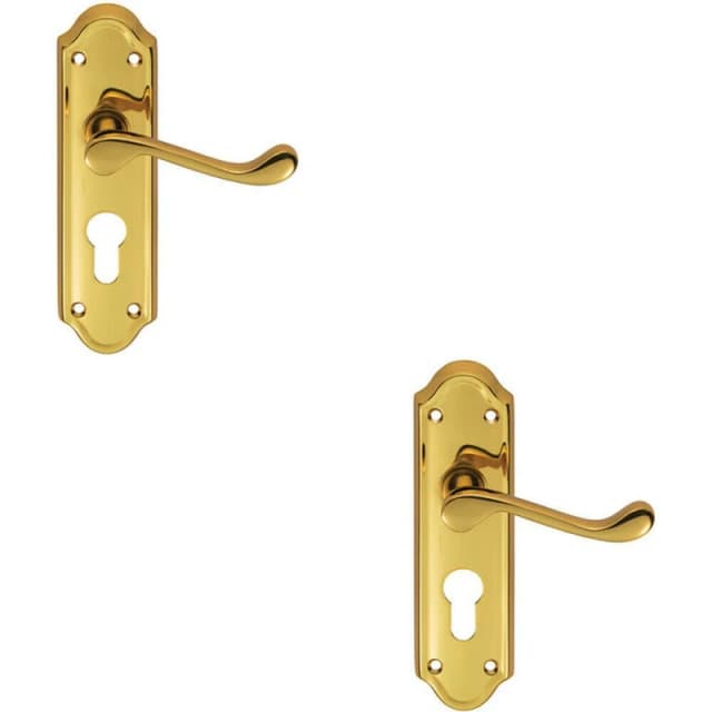 Loops 2x PAIR Victorian Upturned Lever on Euro Lock Backplate 168 x 47mm Brass Metallics