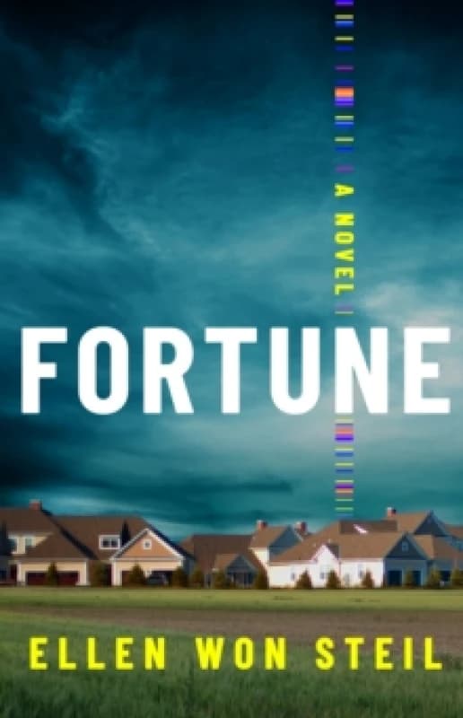 Fortune : A Novel Paperback / softback