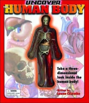 Uncover the Human Body by Luann Columbo Hardback