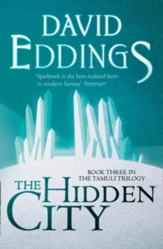 The Hidden City Paperback / softback