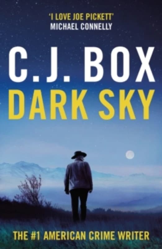 Dark Sky Paperback / softback