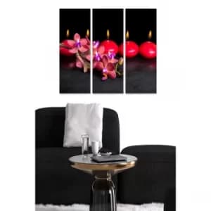 MDF7412405 Multicolor Decorative MDF Painting (3 Pieces)