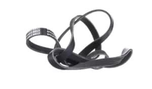RIDEX V-ribbed belt 305P0455 Serpentine belt,Auxiliary belt BMW,OPEL,LAND ROVER,X5 (E53),Omega B Limousine (V94),Omega B Caravan (V94)