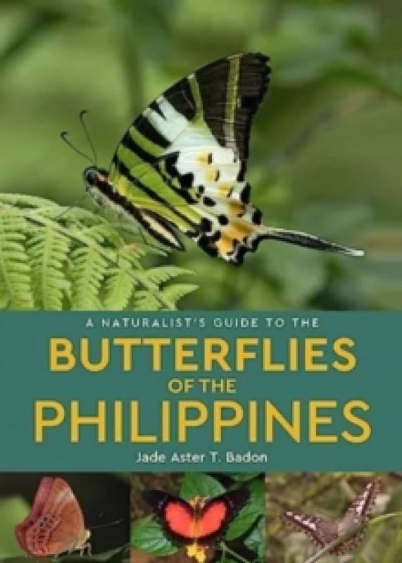 A Naturalist's Guide to the Butterflies of the Philippines Paperback / softback