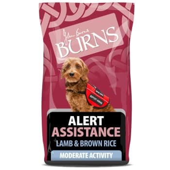 Burns Alert Lamb Dog Food 12kg