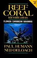 reef coral identification florida caribbean bahamas