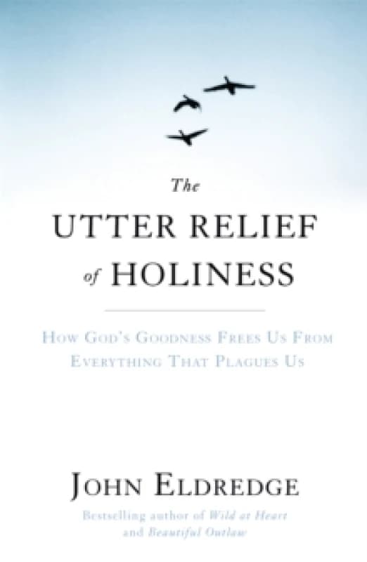 The Utter Relief of Holiness : How God's Goodness Frees Us From Everything That Plagues Us Paperback / softback