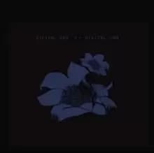 Digital Ash in a Digital Urn