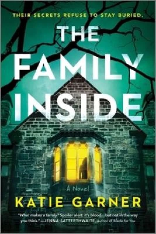 The Family Inside. Paperback. By Katie Garner Books