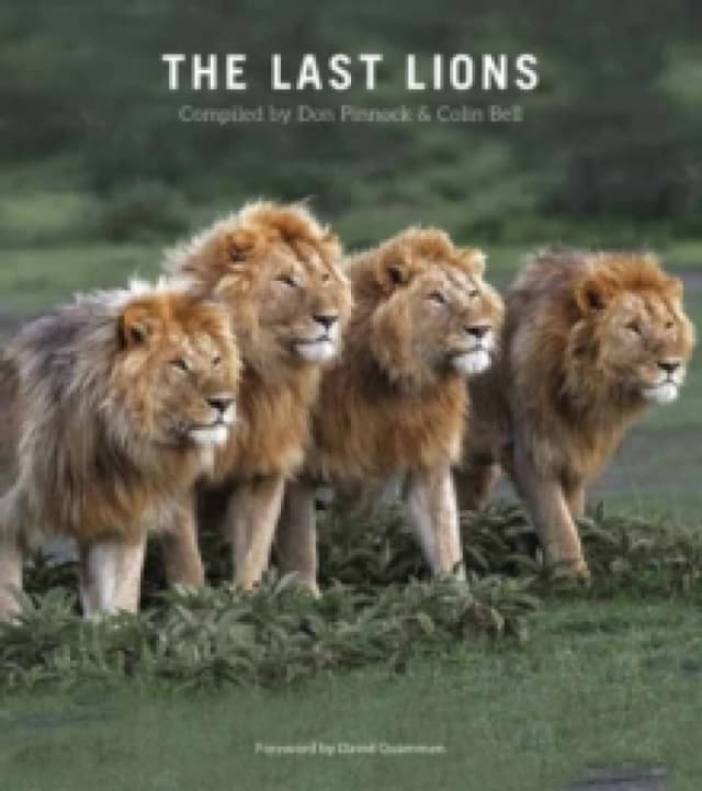 The Last Lions Paperback / softback