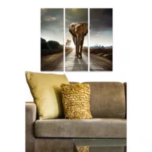 MDF60414424 Multicolor Decorative MDF Painting (3 Pieces)