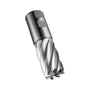 Schaftfraser C247 DIN 844 K D.32mm Schneiden-L.53mm HSS-E-PM Blank 30Grad Z.6 DO