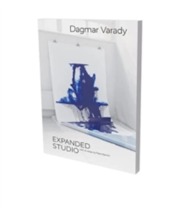 Dagmar Varady: Expanded Studio Paperback / softback