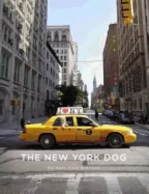 new york dog