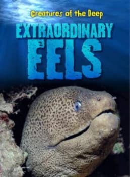 Extraordinary Eels by Casey Rand Hardback