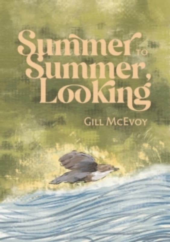 Summer to Summer, Looking Paperback / softback