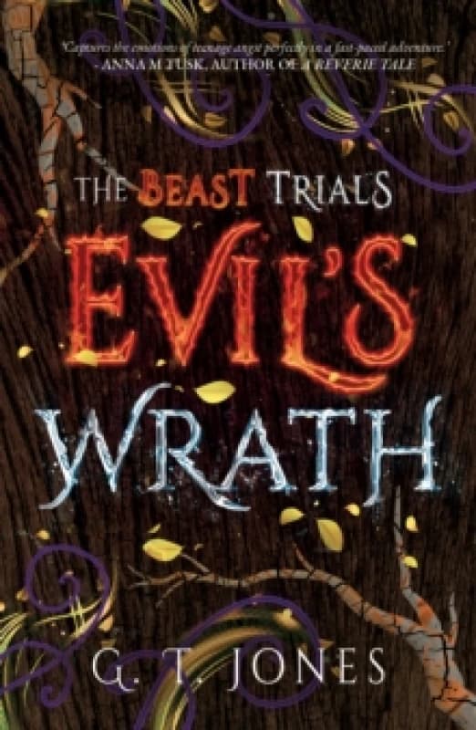 Evil's Wrath Paperback / softback