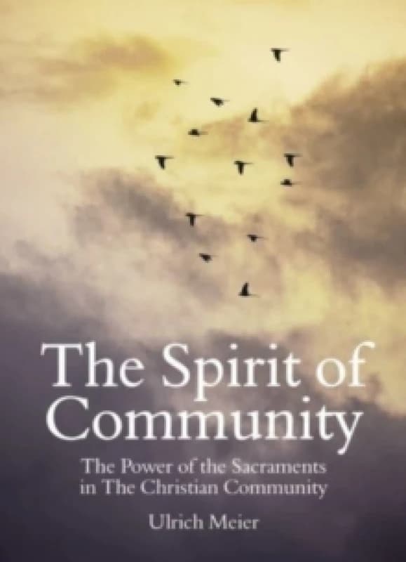 The Spirit of Community: the Power of the Sacraments in The Christian Community Paperback / softback