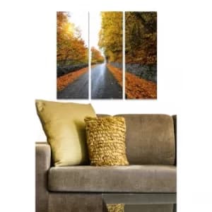 MDF86559052 Multicolor Decorative MDF Painting (3 Pieces)