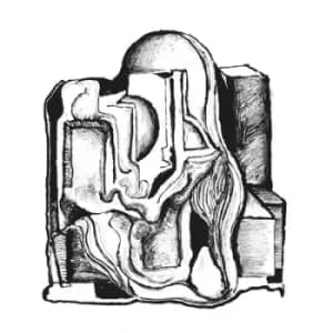 Volume One Dilemmas of Identity by Nate Young Vinyl Album