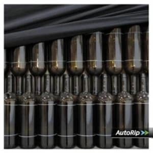 Wire - Red Barked Tree CD