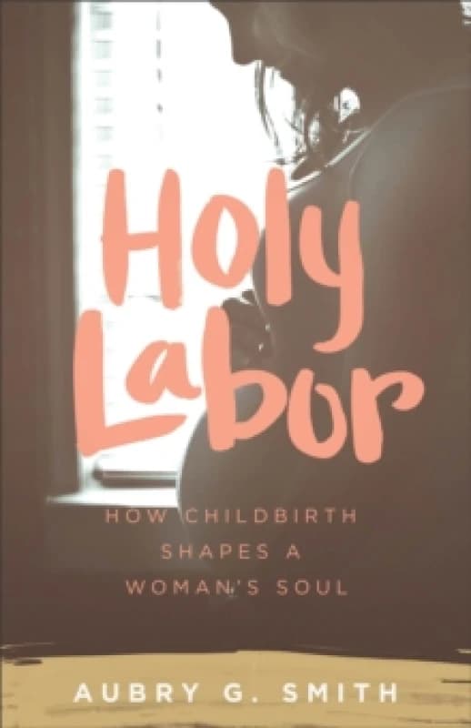Holy Labor Paperback / softback
