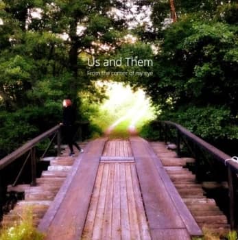 From the Corner of My Eye by Us & Them Vinyl Album