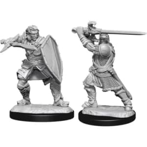 D&D Nolzur's Marvelous Unpainted Miniatures (W14) Human Paladin Male