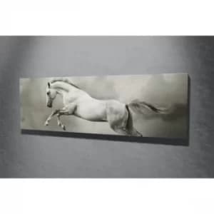 PC016 Multicolor Decorative Canvas Painting