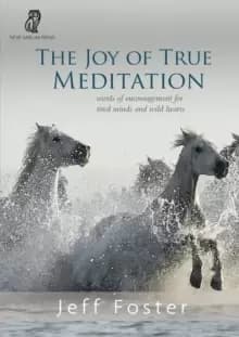 The joy of True Meditation : Words of Encouragement for Tired Minds and Wild Hearts