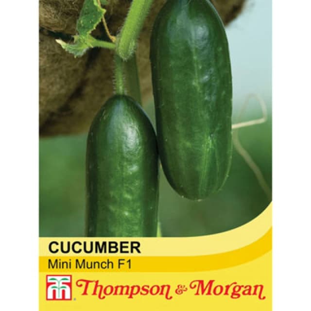 Thompson & Morgan Cucumber Mini Munch F1 Hybrid 1 Seed Packet