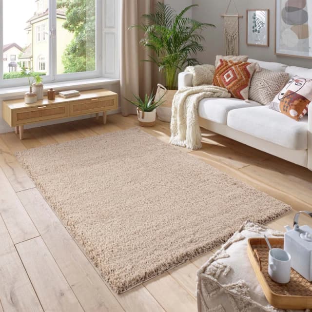 Smart Living Smart Living Soft Fluffy 5cm Thick Pile Shaggy Area Rugs for Living Room, Bedroom in Medium Beige Size: 200cm x 290cm Medium Beige 200c