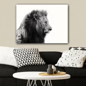 199109744_70100 Multicolor Decorative Canvas Painting