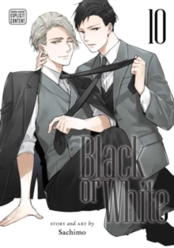 Black or White, Vol. 10 Paperback / softback