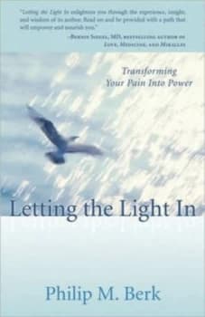 Letting the Light in by Philip M. Berk Paperback