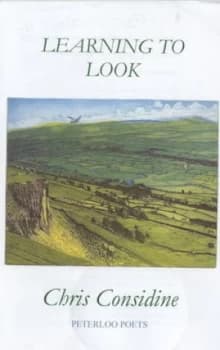 Learning to Look by Chris Considine Paperback