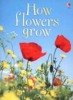 How Flowers Grow by Emma Helbrough and Maggie Silver and Uwe Mayer and Margaret Rostron and Alison Kelly Hardback
