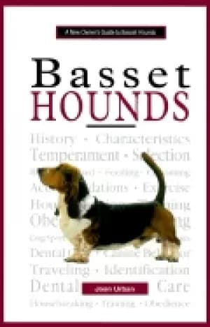 new owners guide to basset hounds