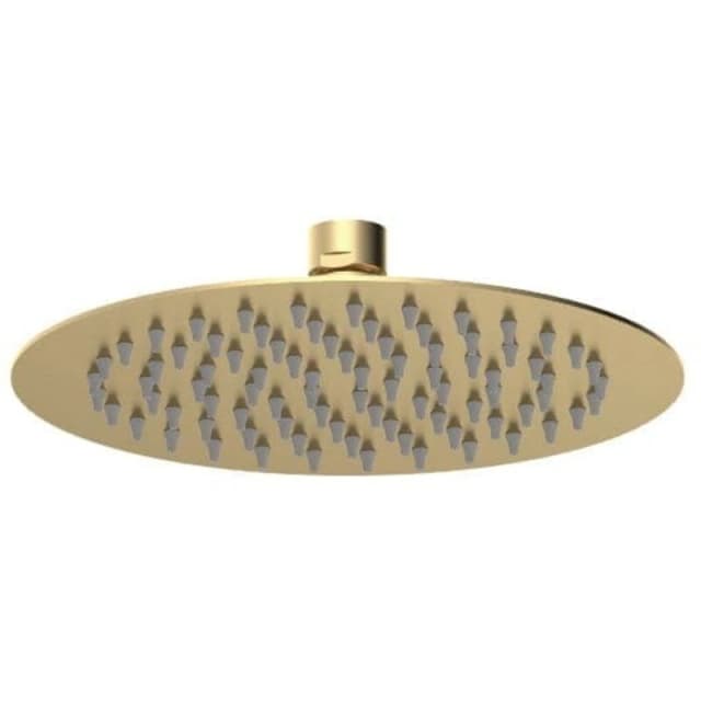 NUIE Nuie - Arvan Round Fixed Shower Head 200mm x 200mm - Brushed Brass A8082
