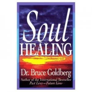 Soul Healing by Bruce Goldberg Paperback