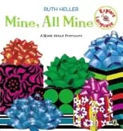 mine all mine a book about pronouns