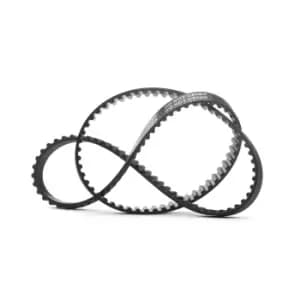 RIDEX Timing Belt 306T0126 Cam Belt,Toothed Belt FIAT,LANCIA,PANDA (169),Seicento / 600 Schragheck (187_),Panda Schragheck (141_),PUNTO (176)
