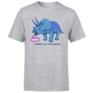 Rawr It Means I Love You Mens T-Shirt - Grey - 3XL