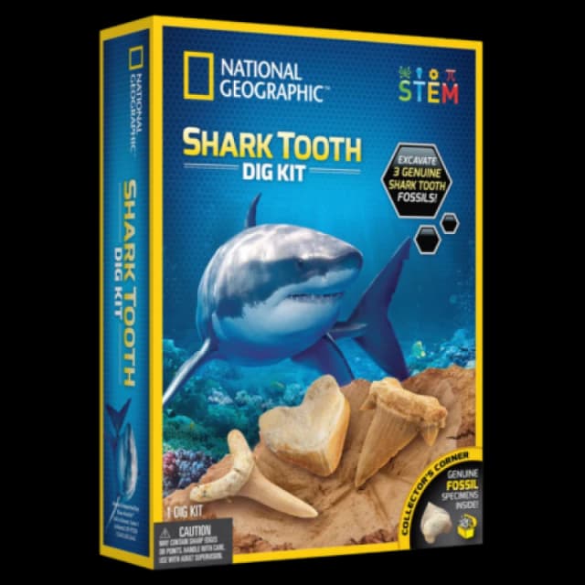 National Geographic Shark Tooth Dig Kit NAT-JM80560M